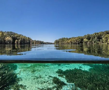 Florida Caverns RV Resort at Merritt's Mill Pond