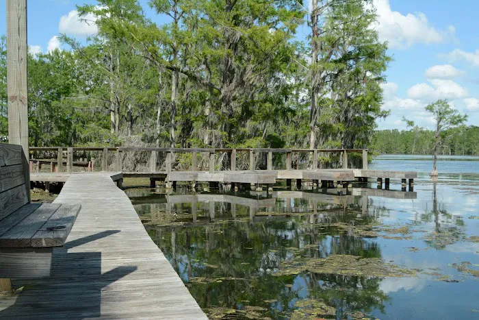 Florida Caverns RV Resort at Merritt's Mill Pond 8