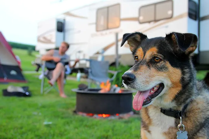 Dove Rest RV Park 4