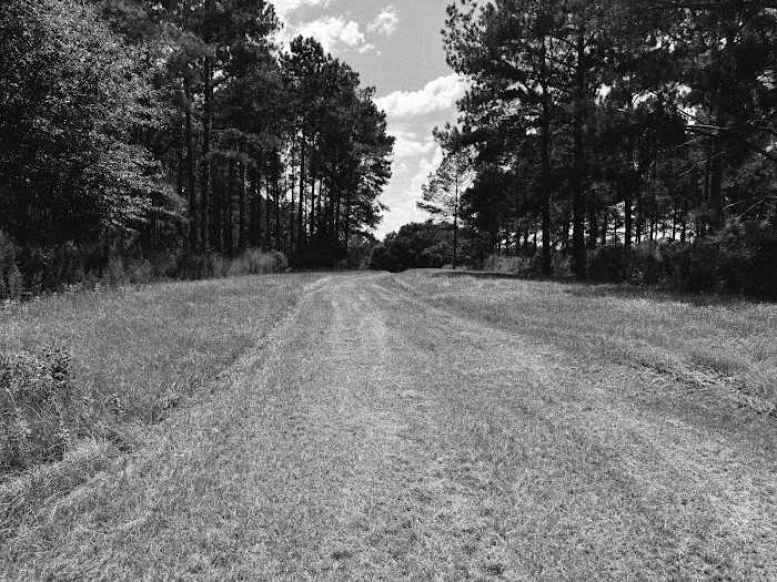 Pondview Acres Campground 7