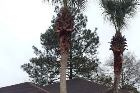 Cedar Grove Mobile Home Park
