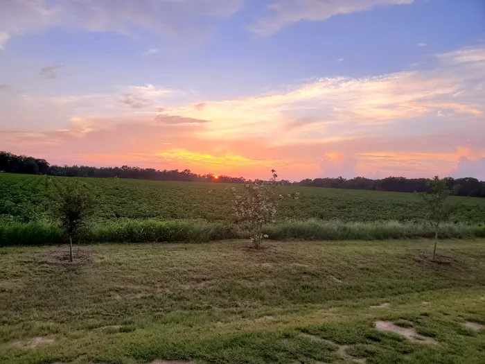 Todd Farms RV Park 2