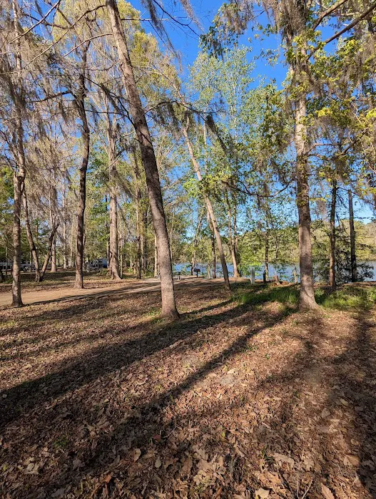 Prairie Creek Park Campgrounds 7