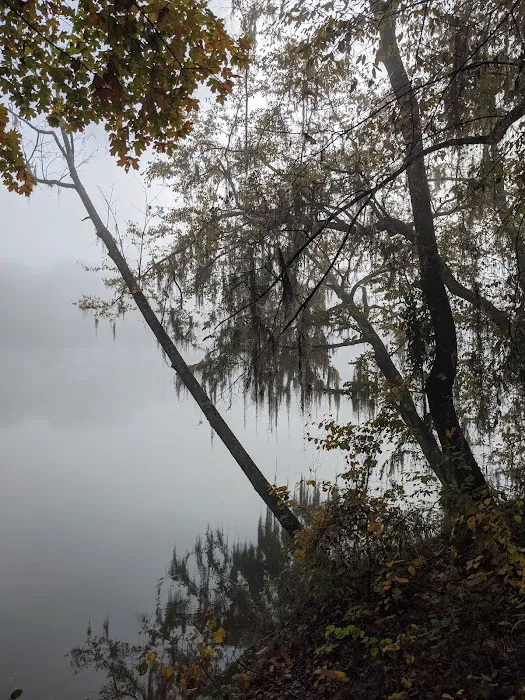 Prairie Creek Park Campgrounds 10