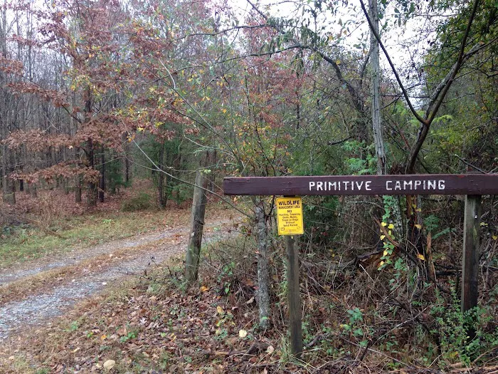 Wildlife Management Area Primitive Camping 2
