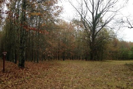 Wildlife Management Area Primitive Camping