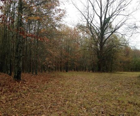 Wildlife Management Area Primitive Camping