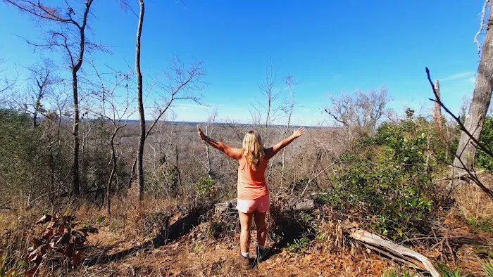 Bluff Rock 6