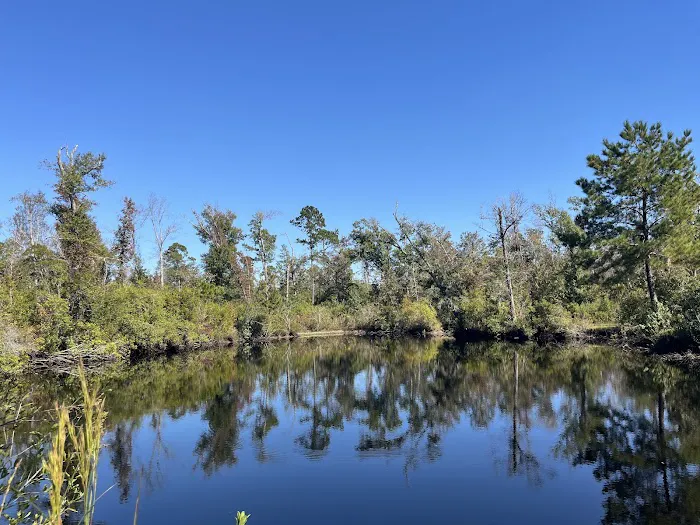 Scotts Ferry 4