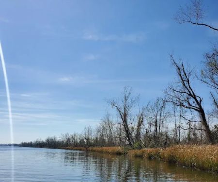 Butlers Ferry (Trails End Marina) (recgovnpsdata)