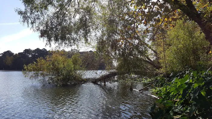 Butlers Ferry (Trails End Marina) (recgovnpsdata) 4
