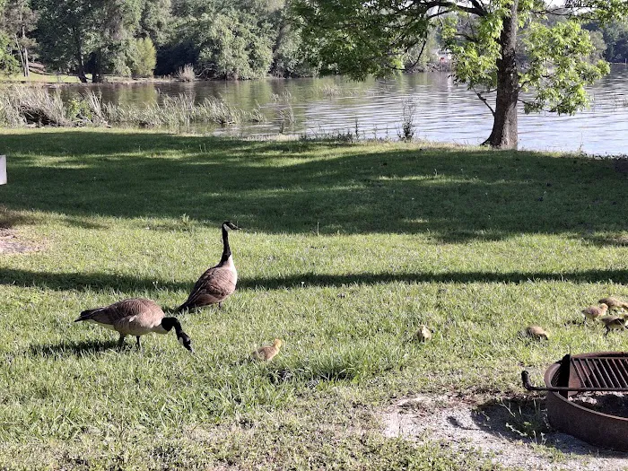 East Bank Campground 6
