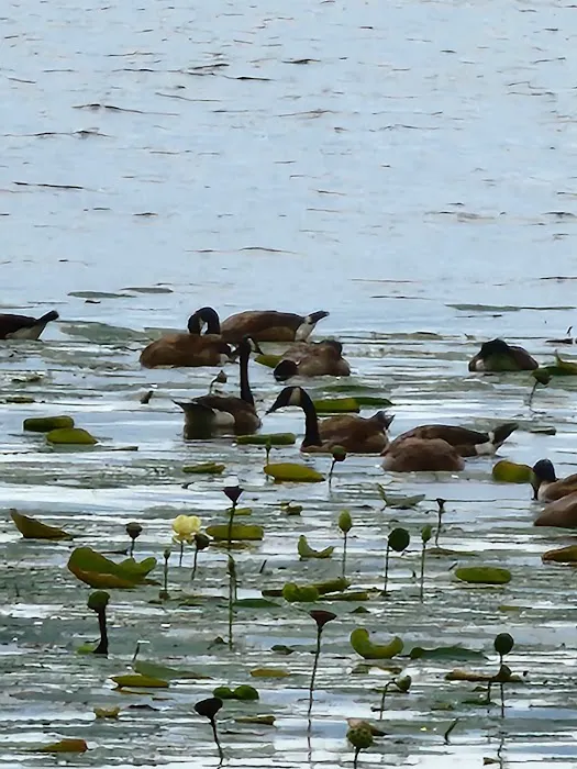 COE Lake Seminole 9