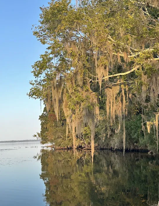 River Junction (COE) Campground 8