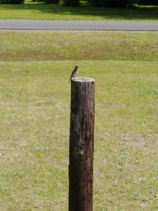 PPA RV Park 8