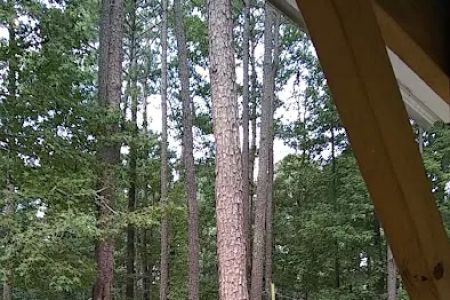 Brantley Mobile Home Park