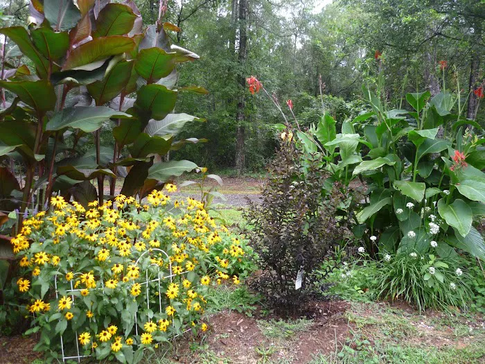 Kountry Air RV Park 4