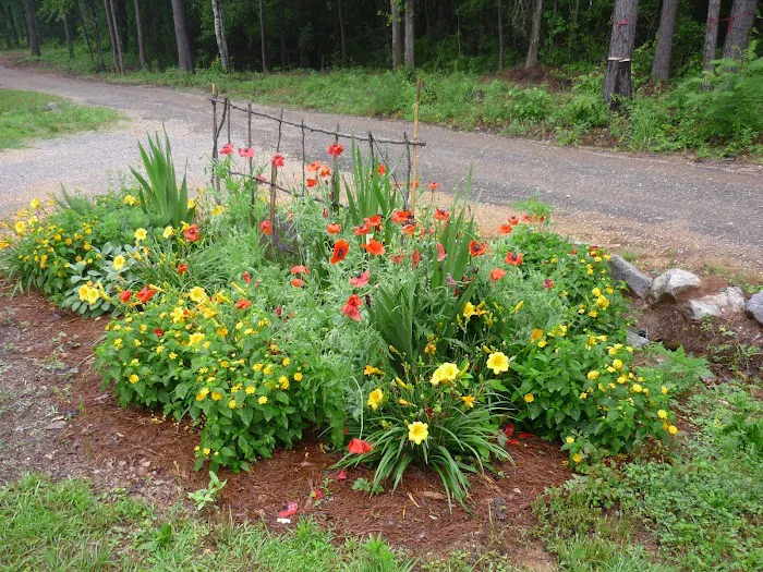 Kountry Air RV Park 8