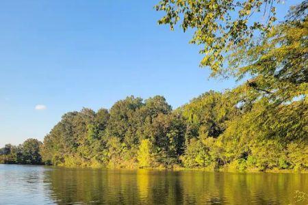 Gunter Hill Campground, Site 26