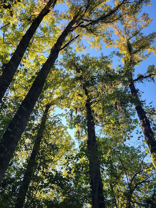 Gunter Hill Campground, Site 26 3