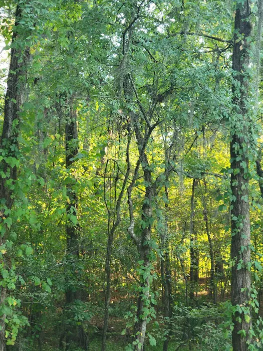 Gunter Hill Campground, Site 26 5