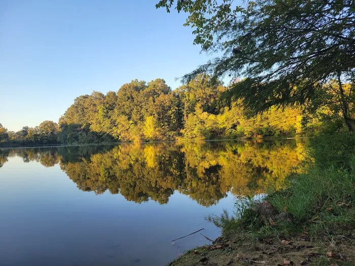 Gunter Hill Campground, Site 26 4
