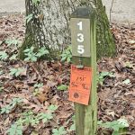 Antioch Loop #82