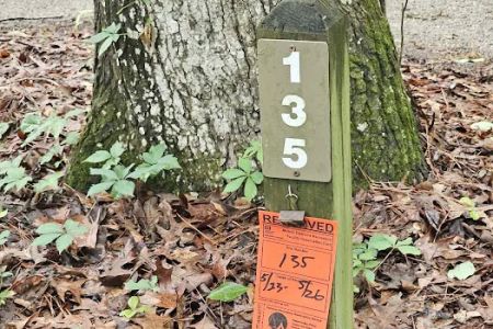 Antioch Loop #82