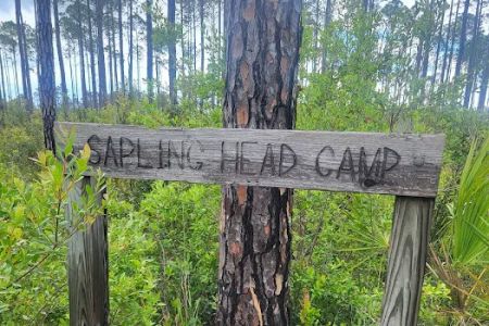 Sapling Head Camp