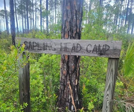 Sapling Head Camp