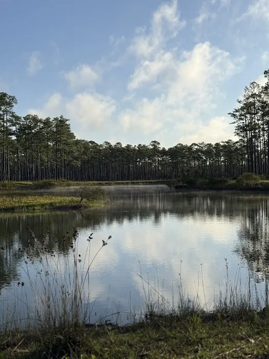 Cliff Lake Hunt Camp 8