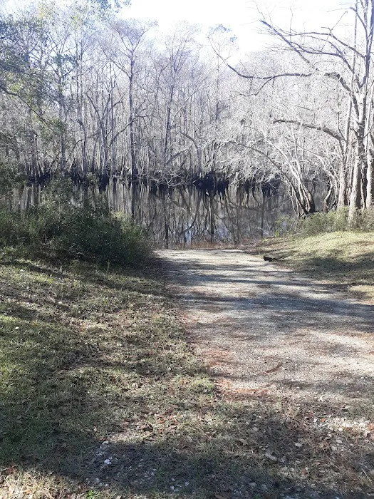 Cotton Landing 1