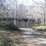 Cotton Landing