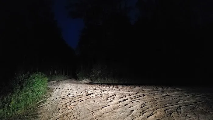 Cotton Landing 3
