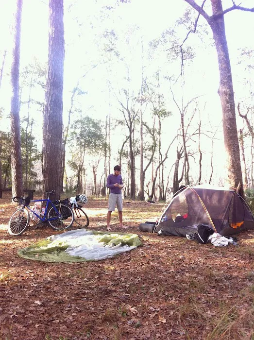 Cotton Landing 6
