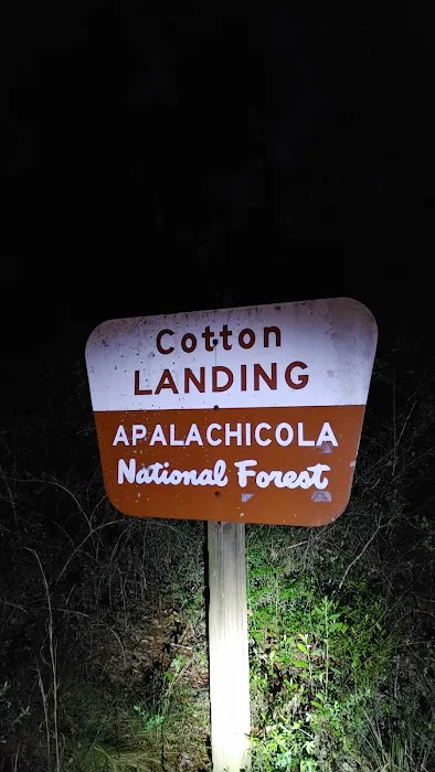 Cotton Landing 9