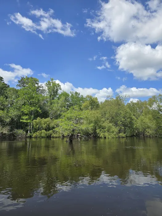 Piney Creek Landing Campground 1