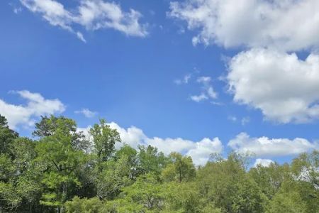 Piney Creek Landing Campground