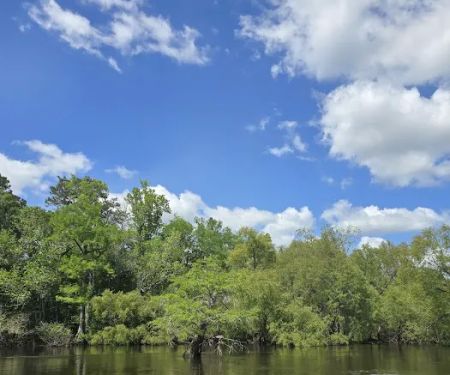 Piney Creek Landing Campground