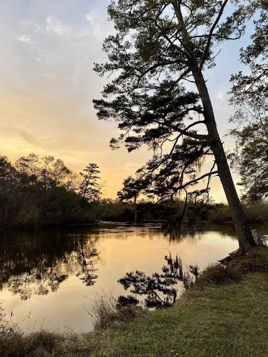 Piney Creek Landing Campground 4