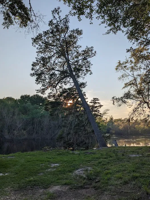 Piney Creek Landing Campground 7