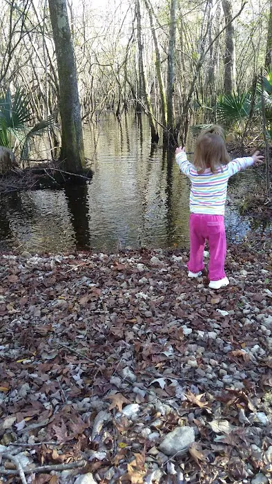 Piney Creek Landing Campground 10