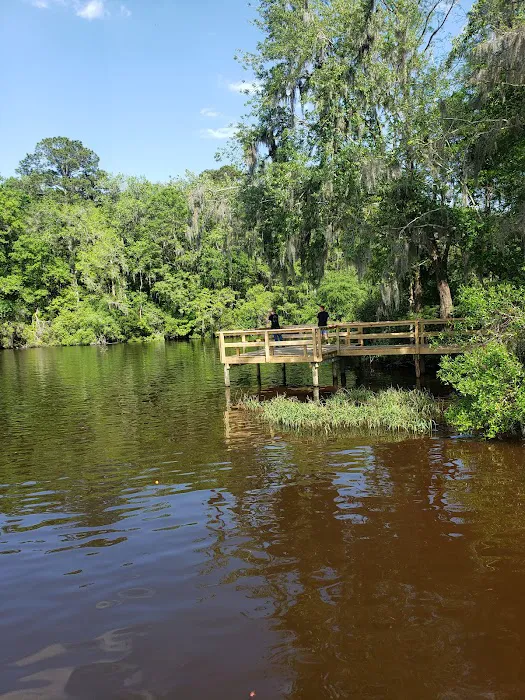Hall Landing Campground 5
