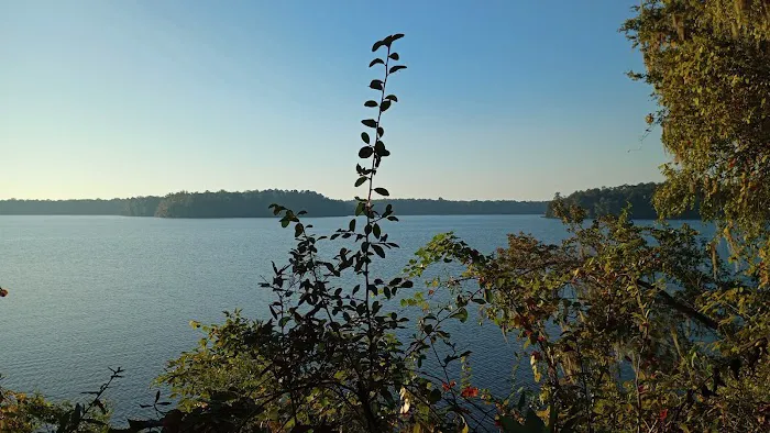 Hall Landing Campground 4