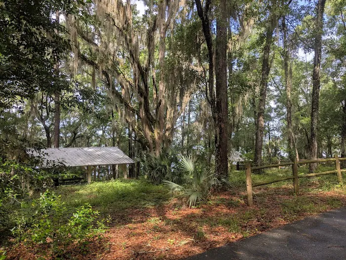 Hall Landing Campground 3