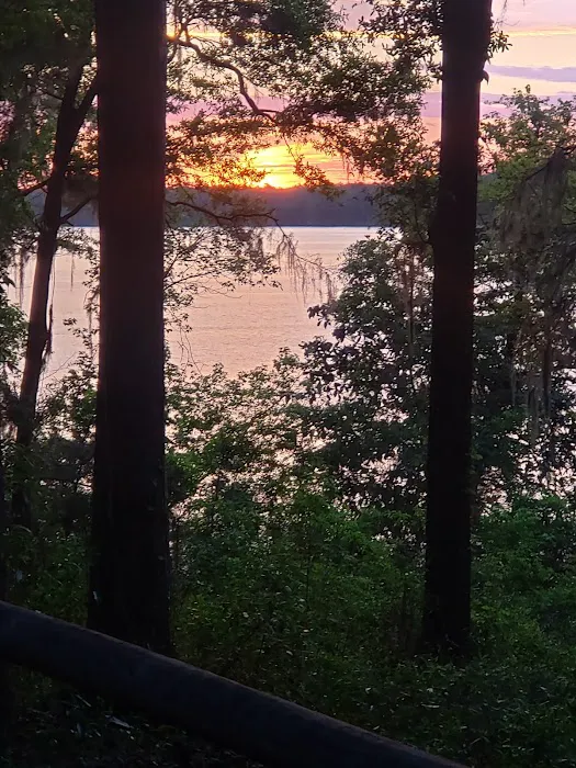 Hall Landing Campground 6
