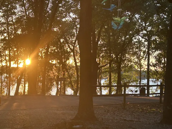 Hall Landing Campground 8