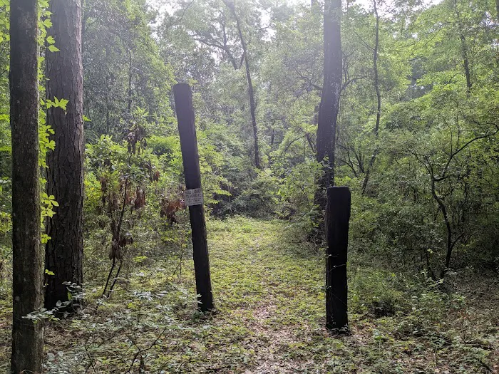 Hall Landing Campground 9