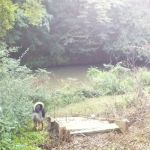 Omussee Creek RV Park