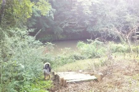 Omussee Creek RV Park